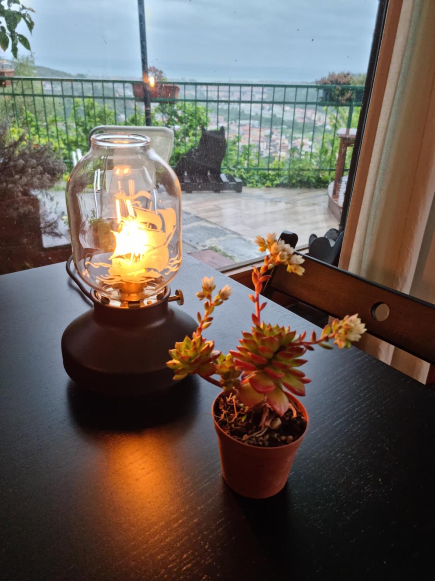 B&B La Terrazza Sui Fieschi Cogorno Eksteriør billede