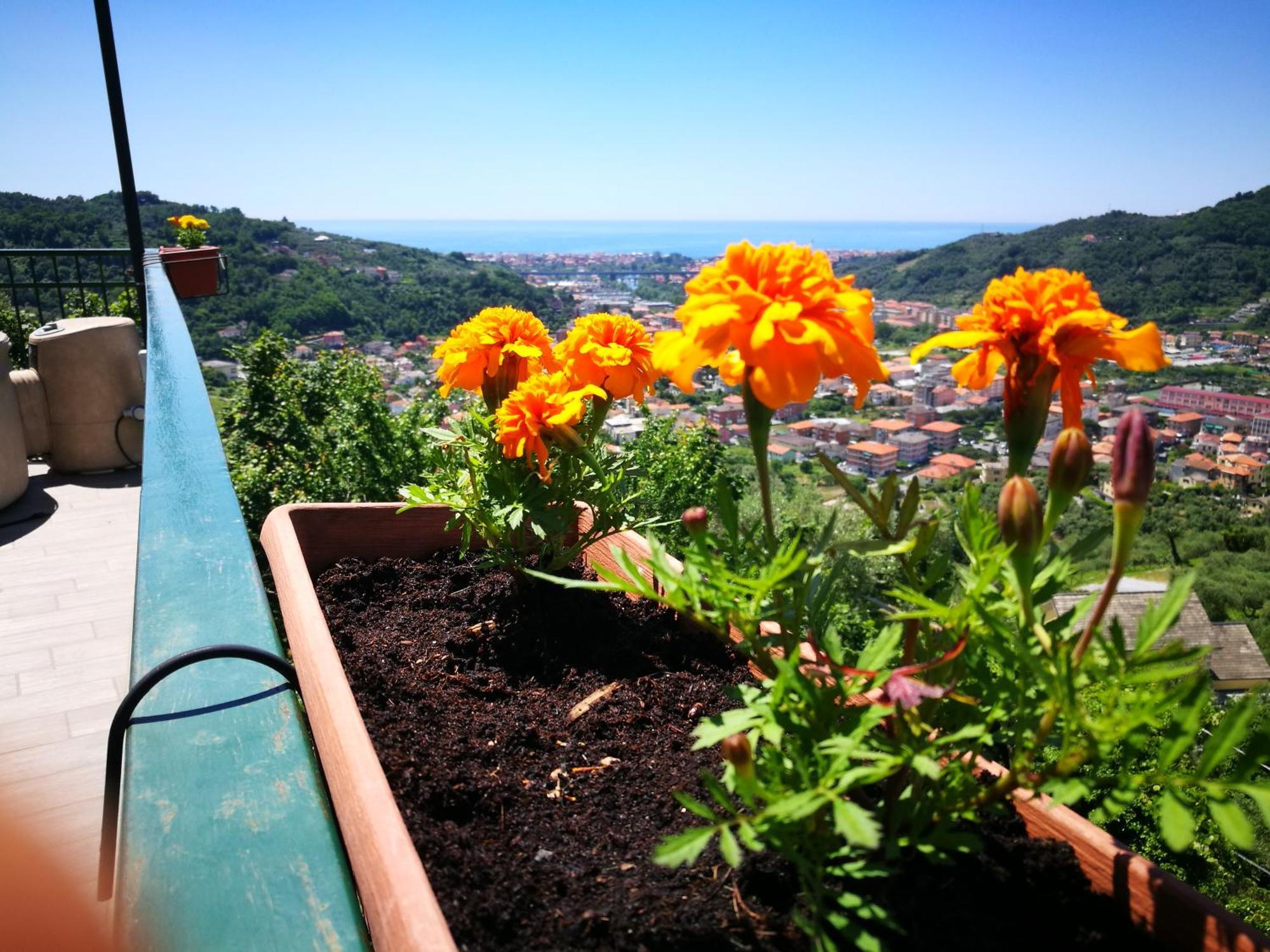 B&B La Terrazza Sui Fieschi Cogorno Eksteriør billede