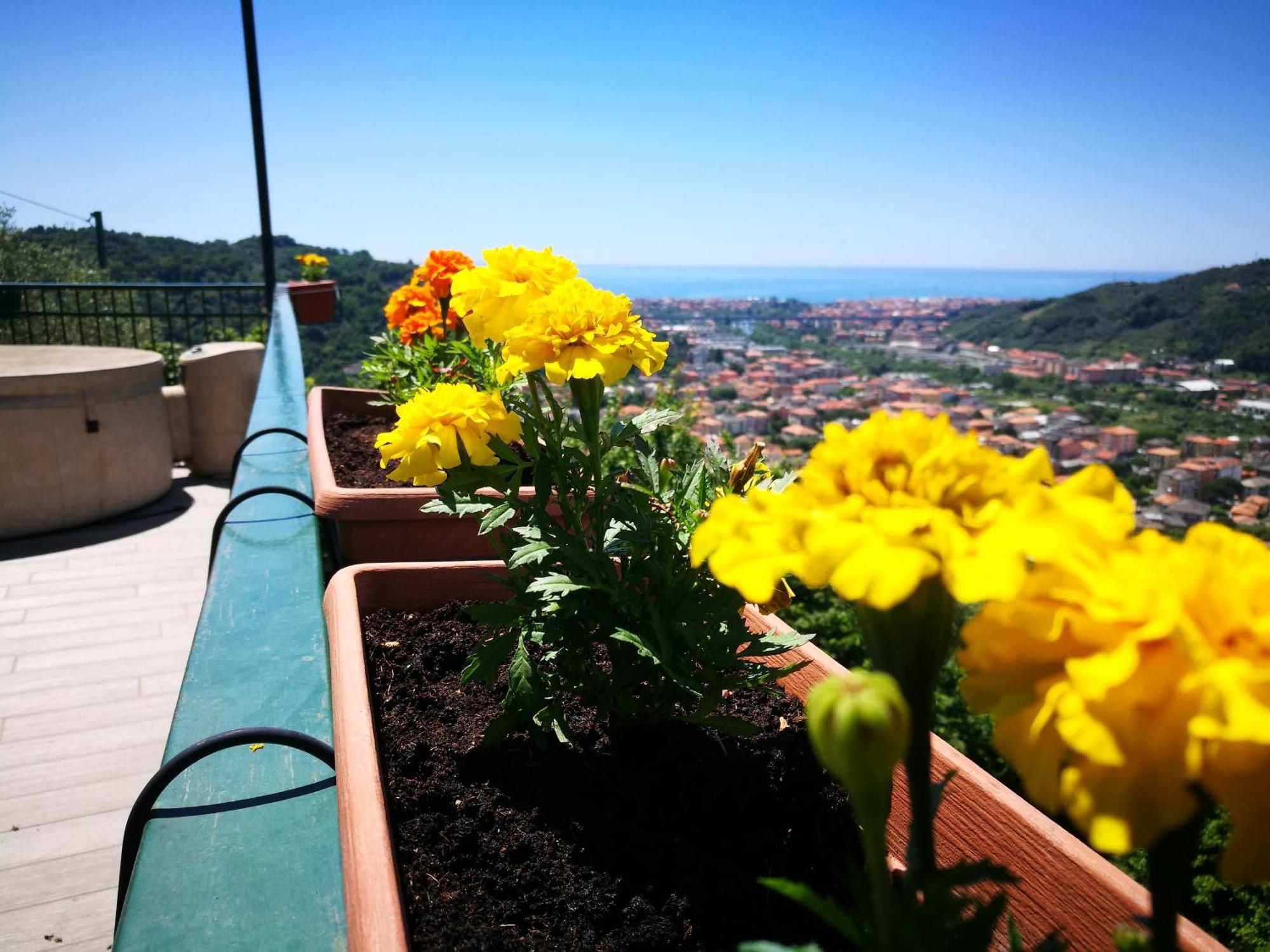 B&B La Terrazza Sui Fieschi Cogorno Eksteriør billede